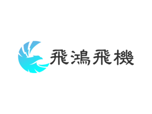 飞鸿飞机